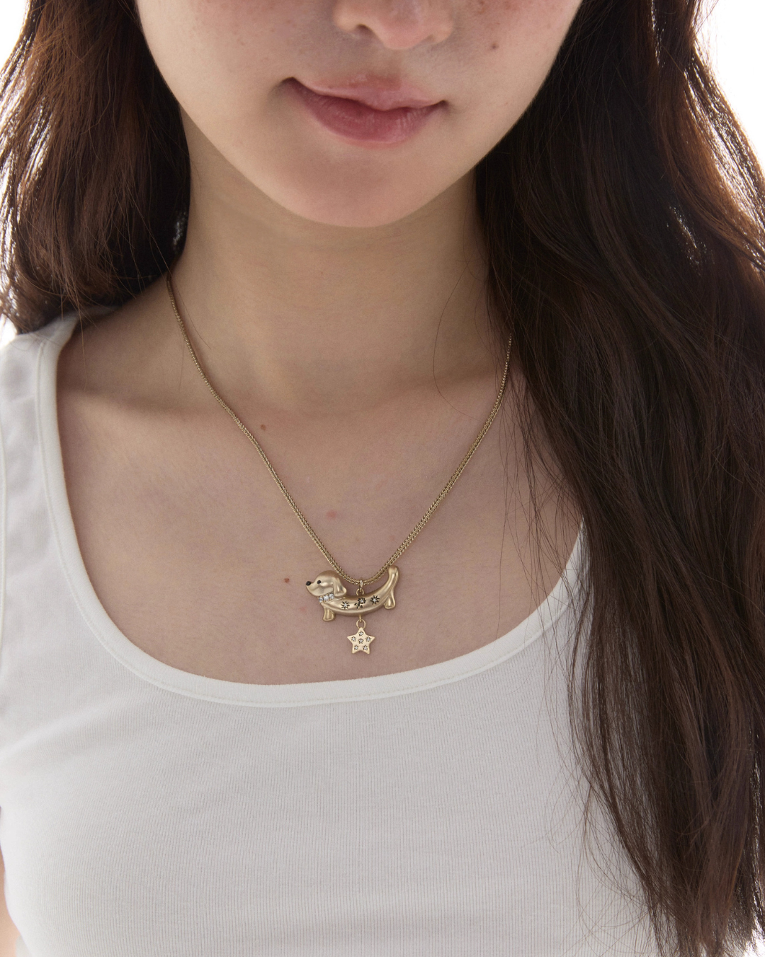 Dazzling Doggie Necklace